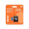 (AUSDX256GUICL10A1-RA1) - ADATA - Adata Premier 256 Gb