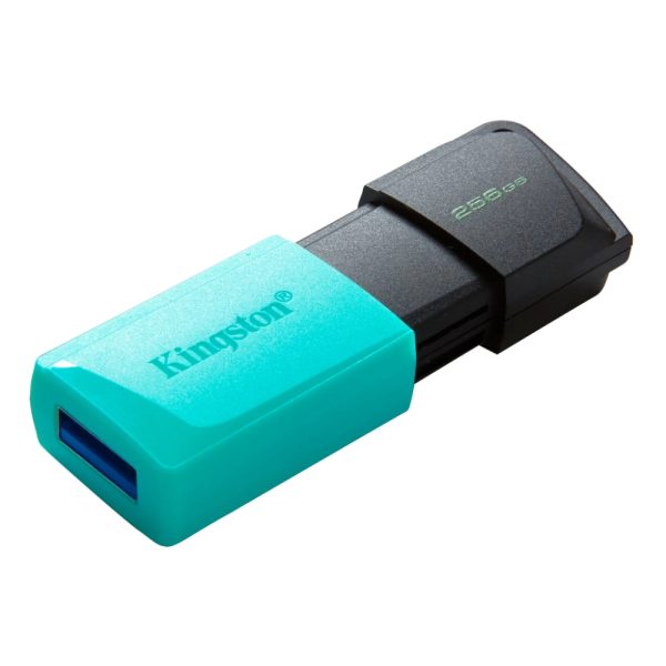 (DTXM/256GB) - KINGSTON - Kingston Technology Datatraveler