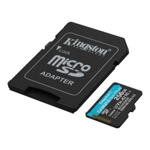 (SDCG4/256GB) - KINGSTON - Kingston Technology Canvas Go!