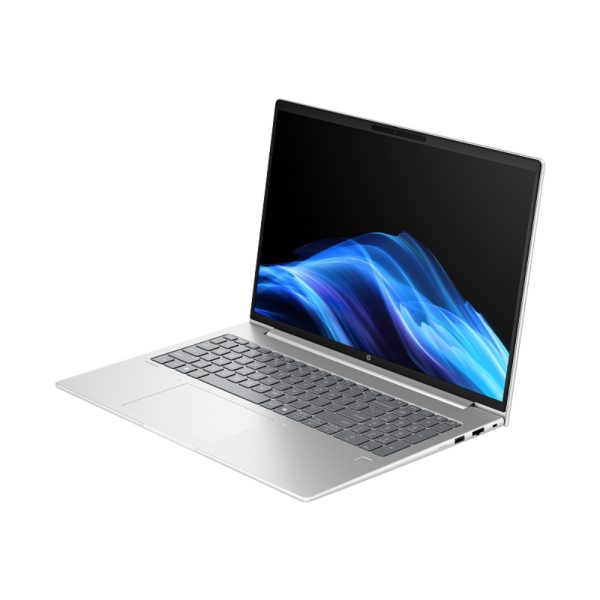HP Hp P4g1i16 U7255u 16 16Gb 1Tb Ssd W11pro110 D66V3LT#ABM